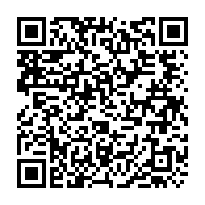 頭痛ダイアリー2026年版